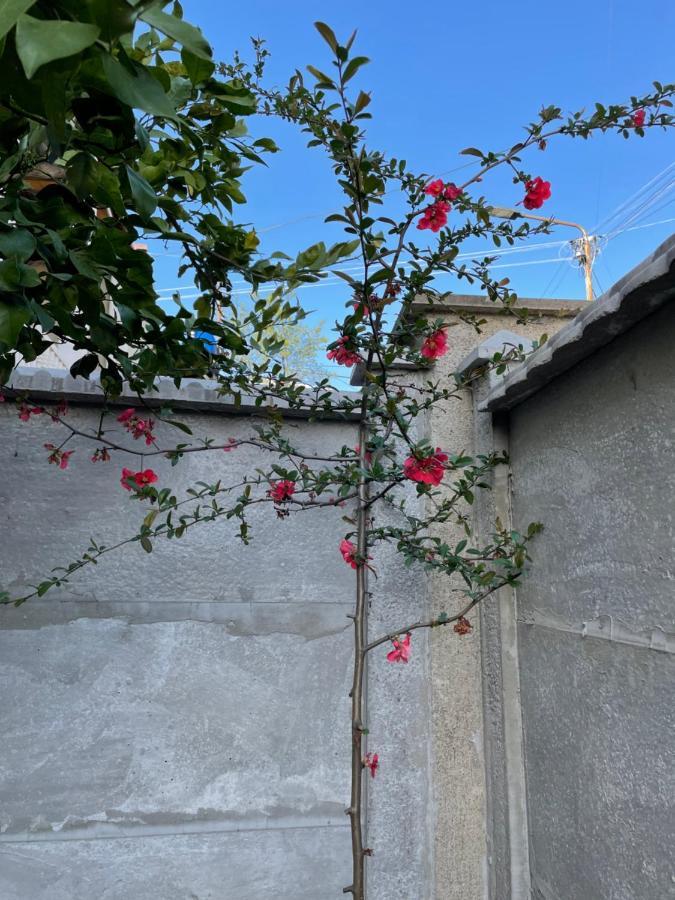 Kvara'S House Kutaiszi Kültér fotó