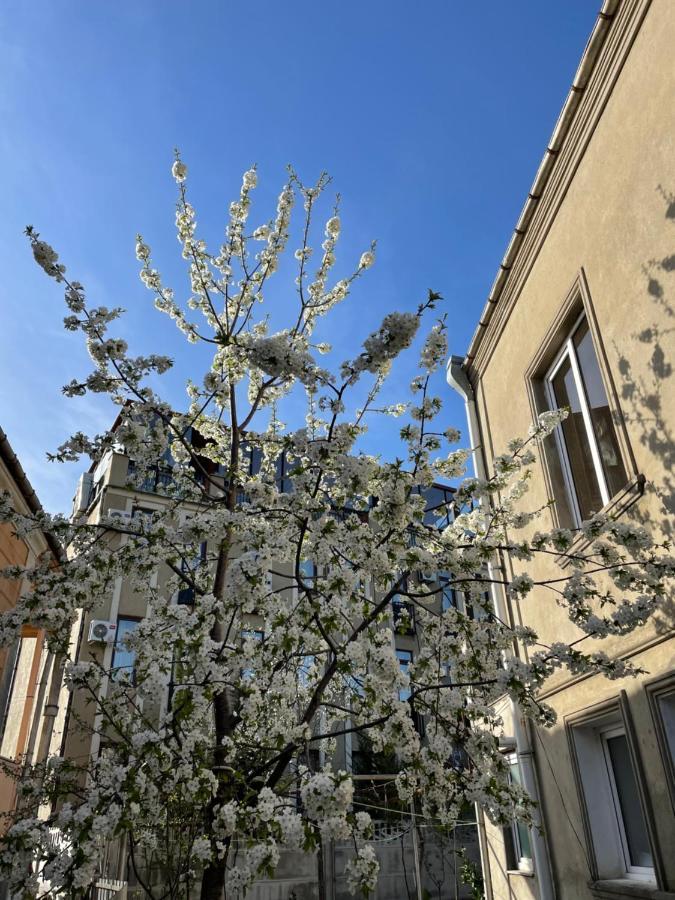 Kvara'S House Kutaiszi Kültér fotó